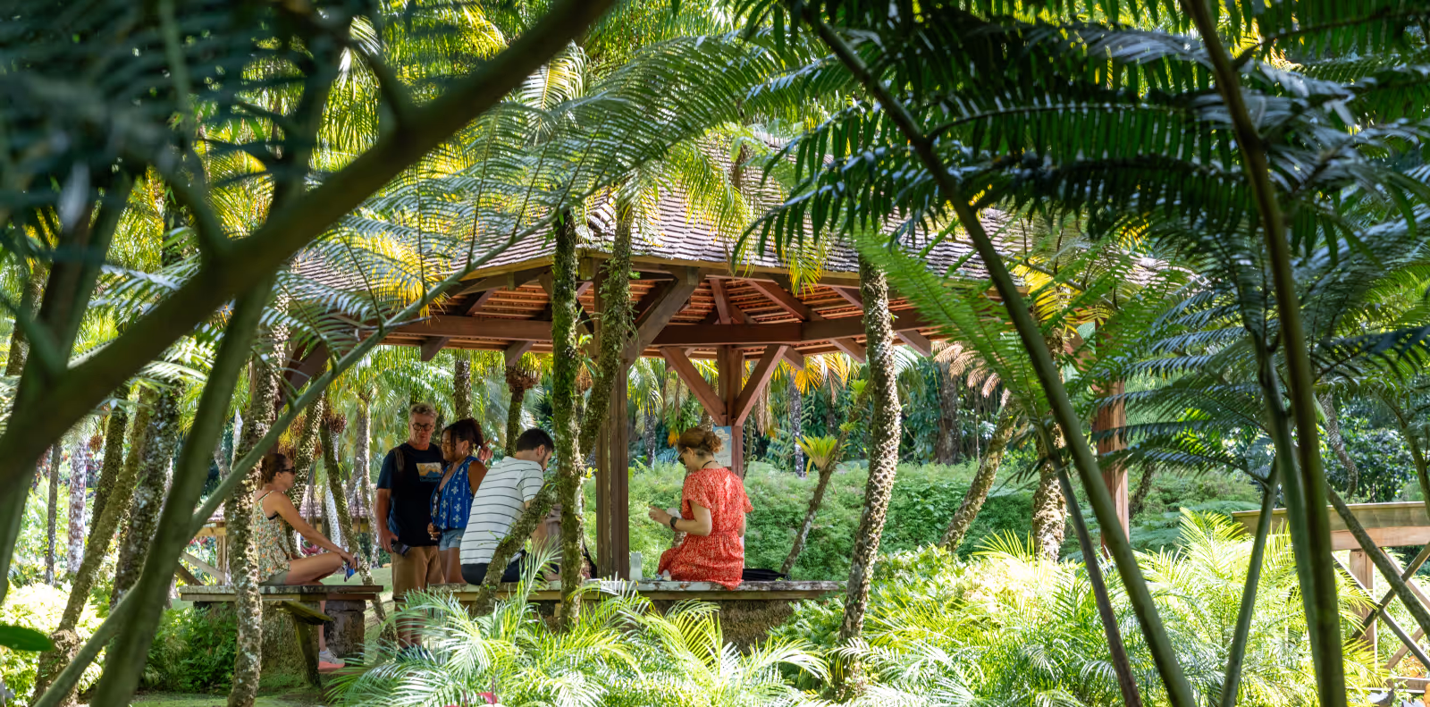 adultes posés sous un carbet du jardin