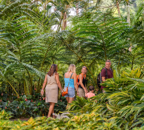 visiteurs qui marchent dans le jardin de Balata