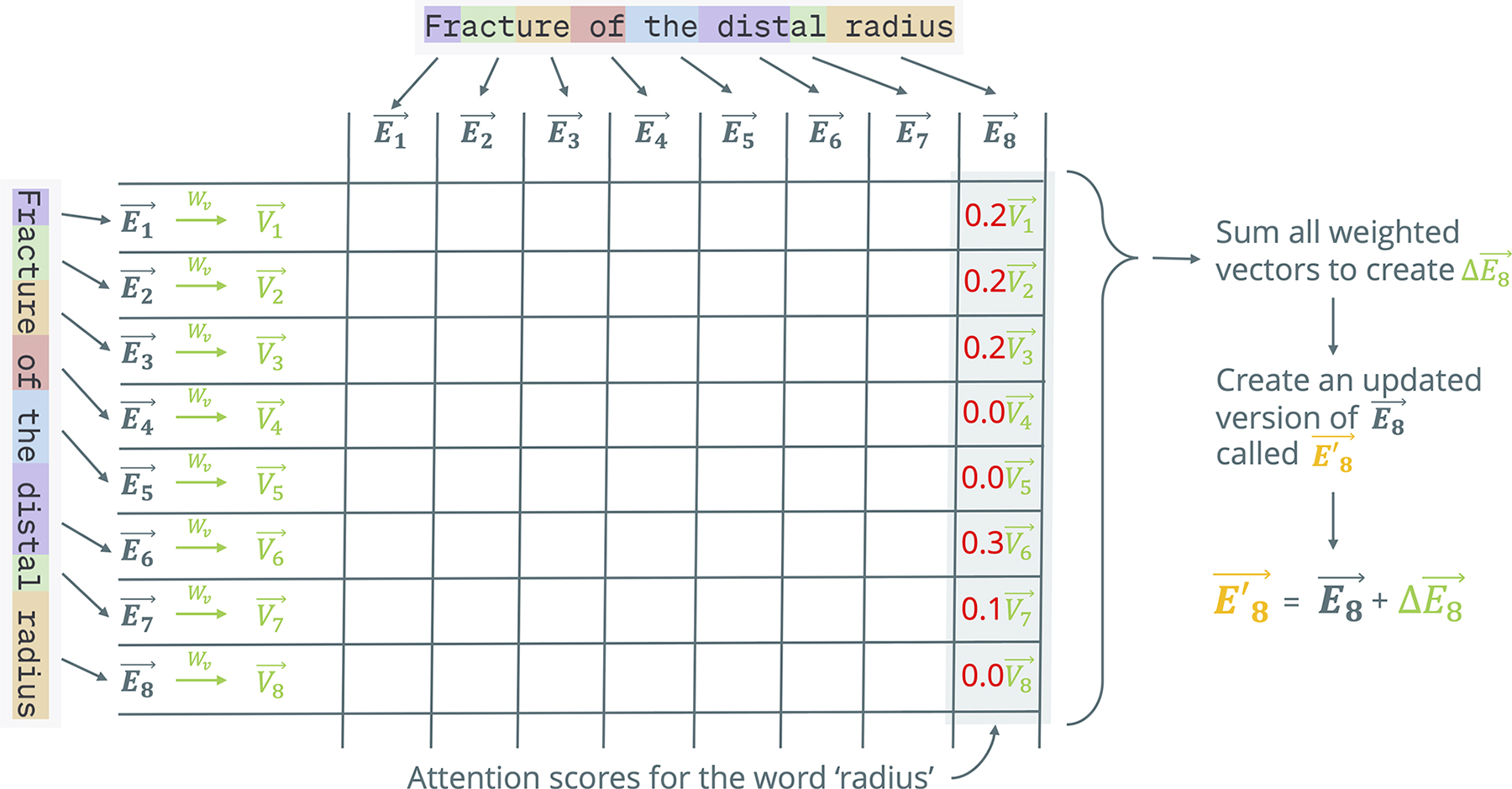 Graph shows self-attention in a transformer, part 2 (values). After determining which words matter to one another using 
