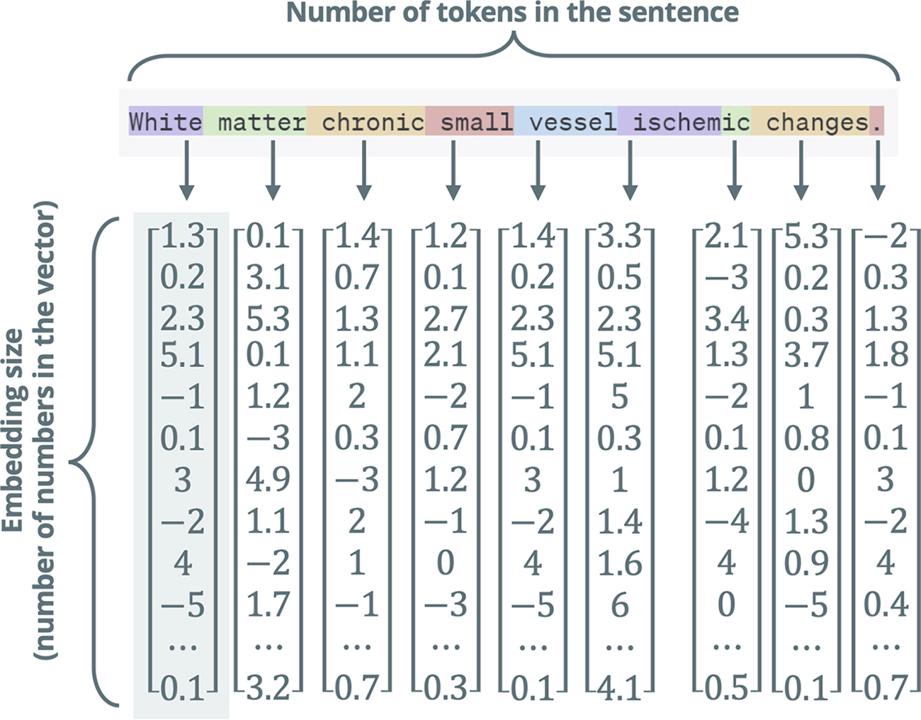 The input of the transformer model is a set of vectors comprising a vector for each token. Different background colors i