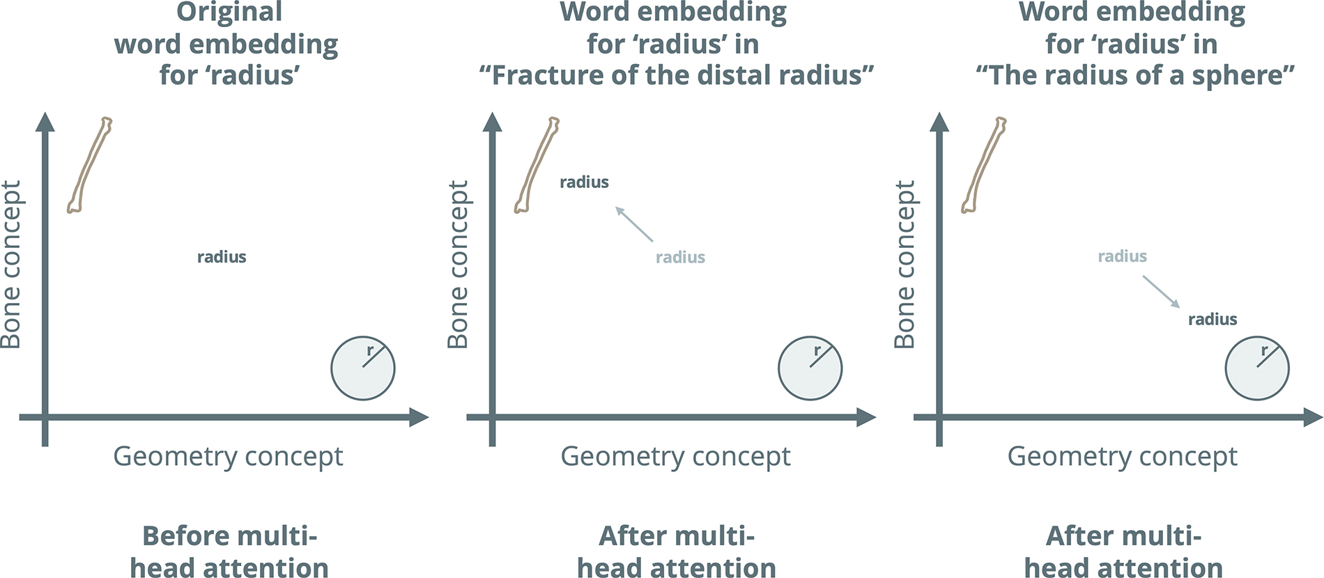 Graphs show how transformers self-adjust word embeddings based on other words in a sentence using a self-attention mecha