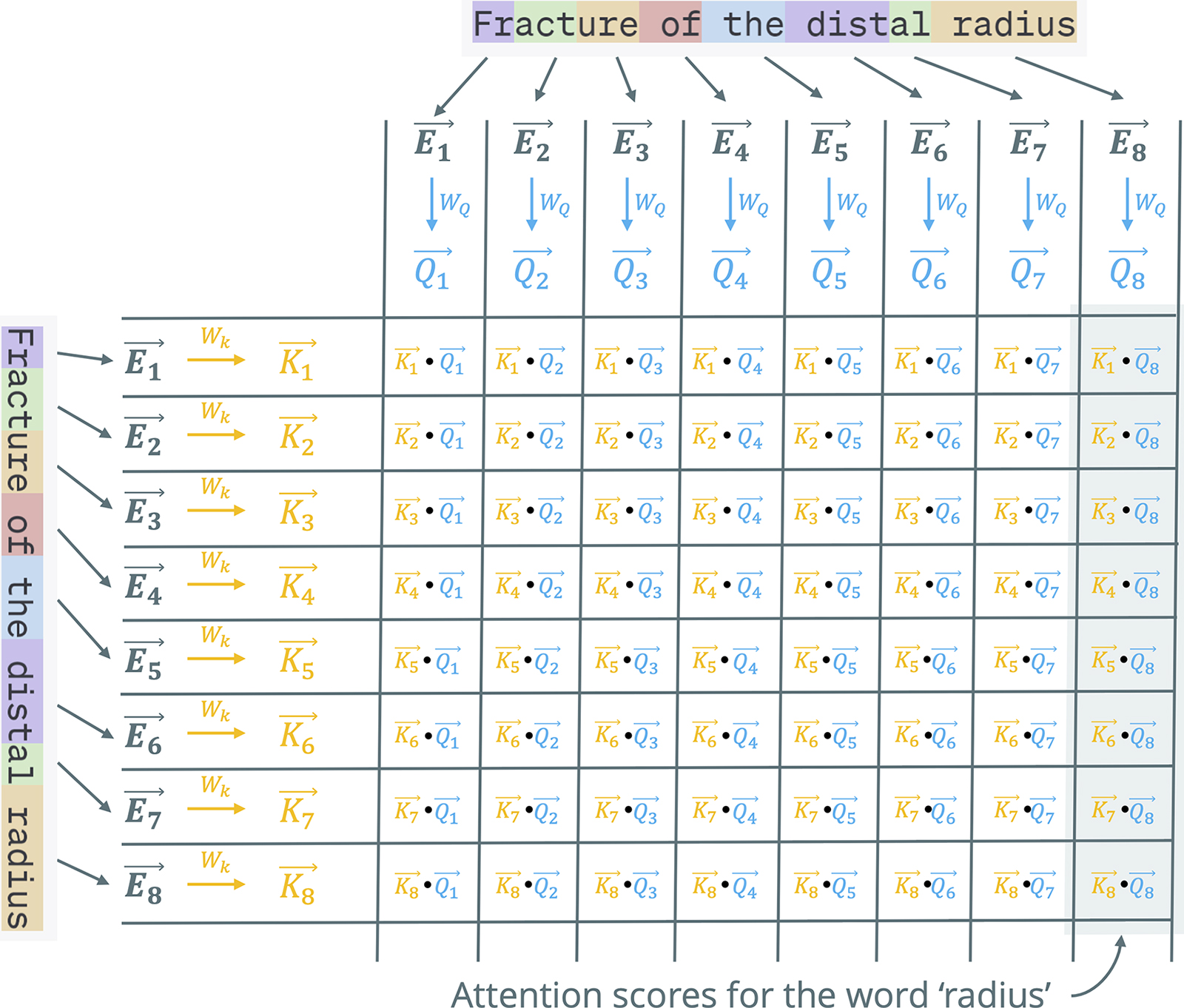 Image shows self-attention in a transformer, part 1 (queries and keys). Think of each word in the sentence as a colleagu