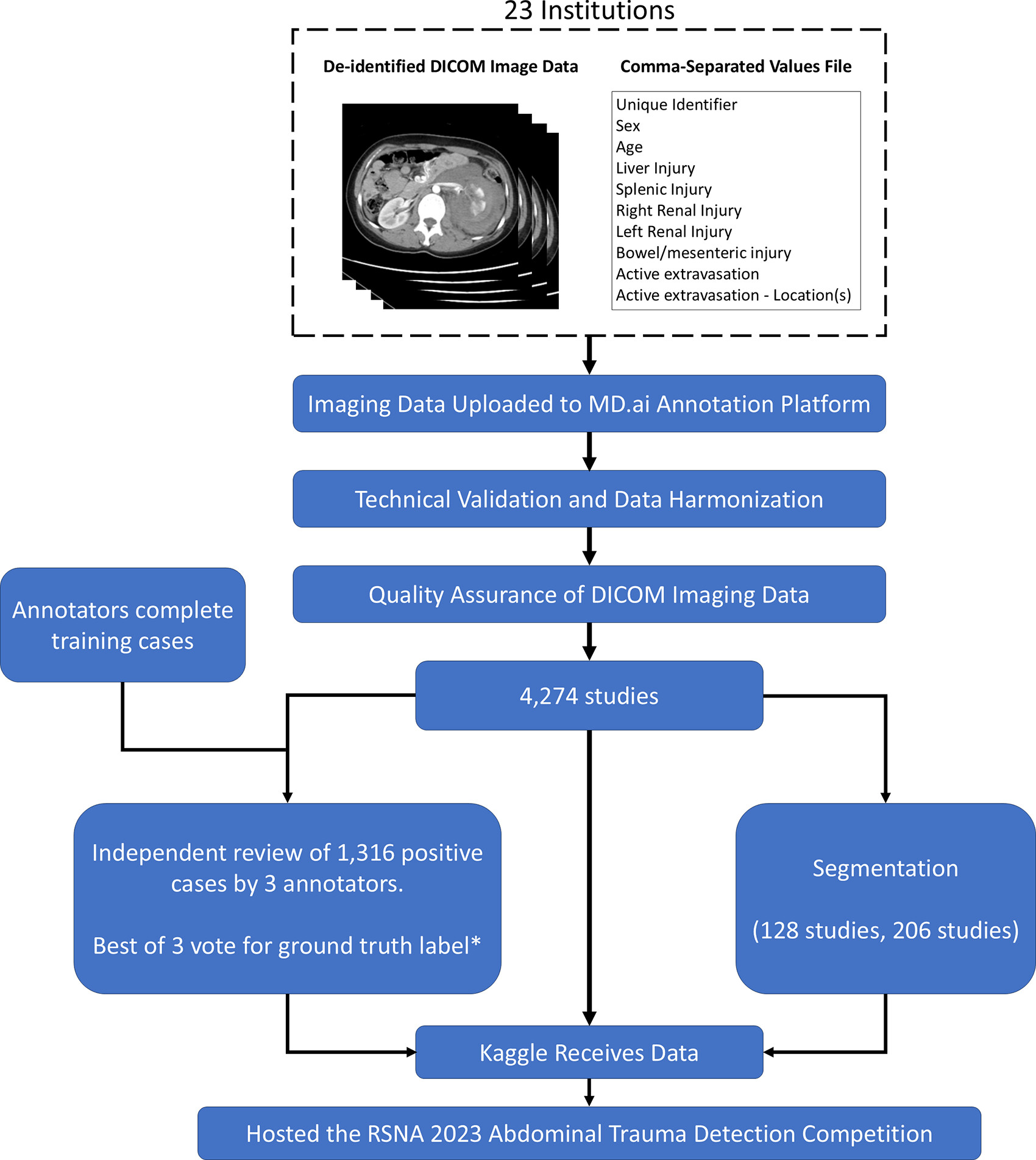 Summary of the data curation and annotation process. * = bowel and mesenteric injuries were reviewed by two annotators.