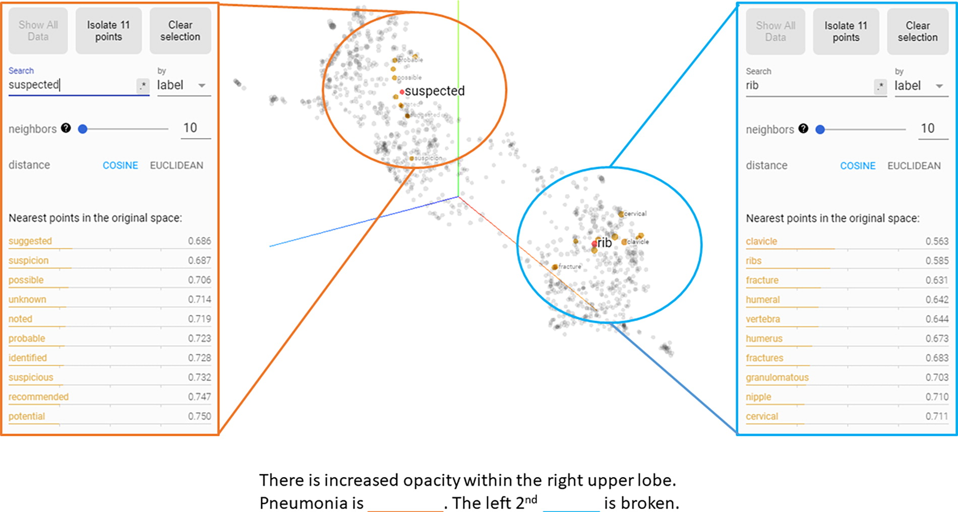 Visualization of word embeddings generated by fine-tuning of the language model. After applying dimensionality reduction