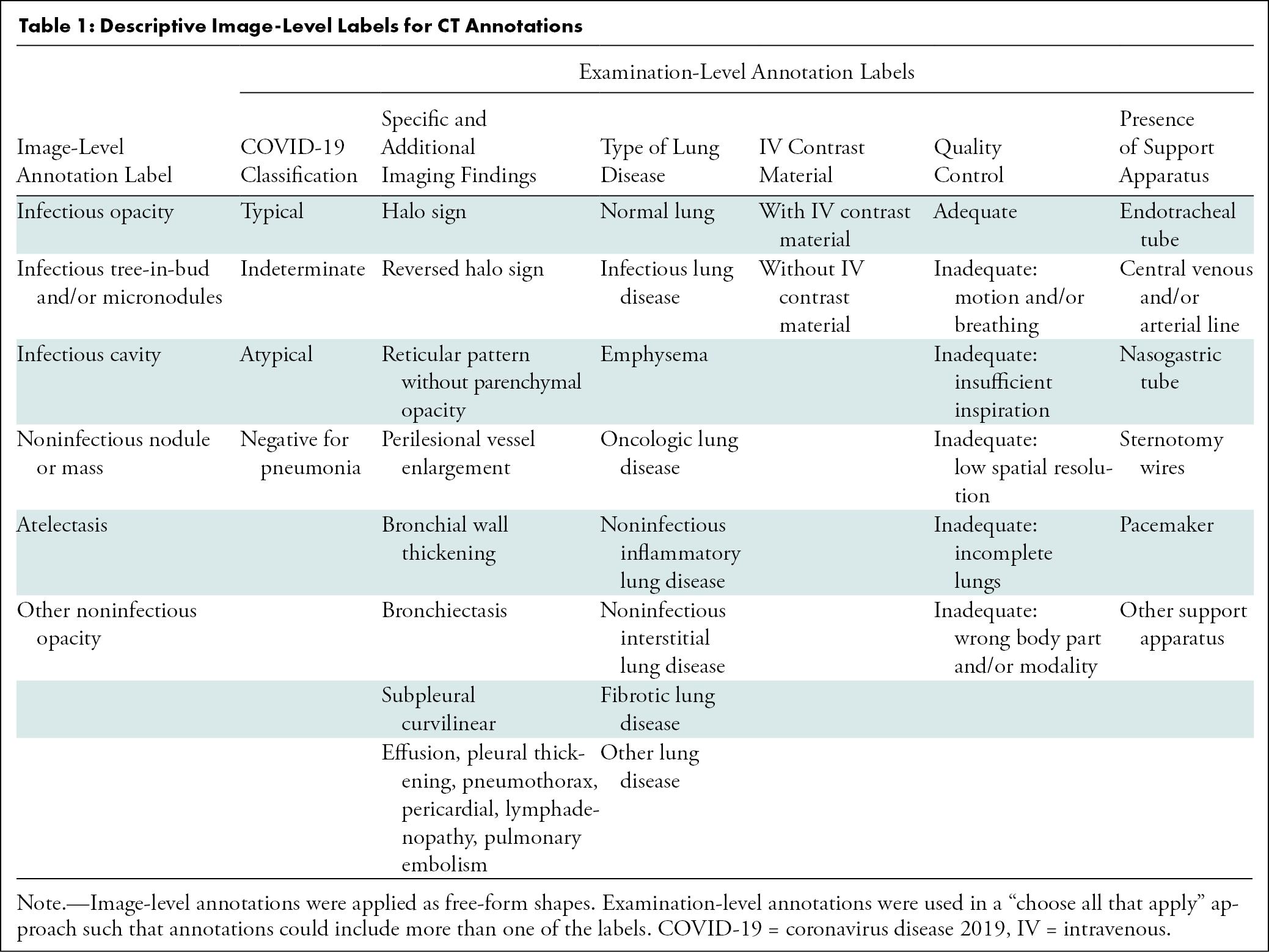 Descriptive Image-Level Labels for CT Annotations