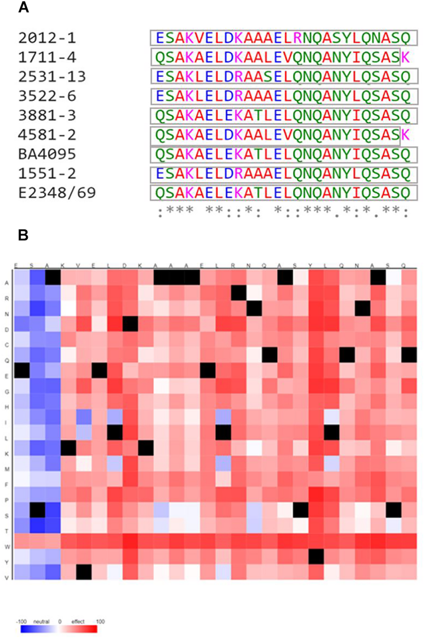 Multiple alignment among the C-terminal region of the EspD coiled-coil domain from the aEPEC strains studied and the tEP