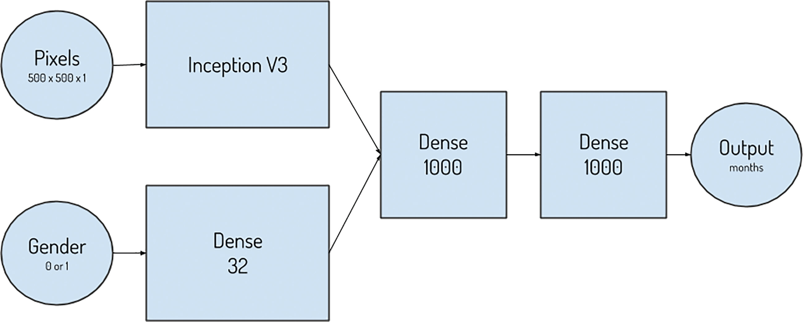 Depiction of the inputs, outputs, and layers of the first-place network design.