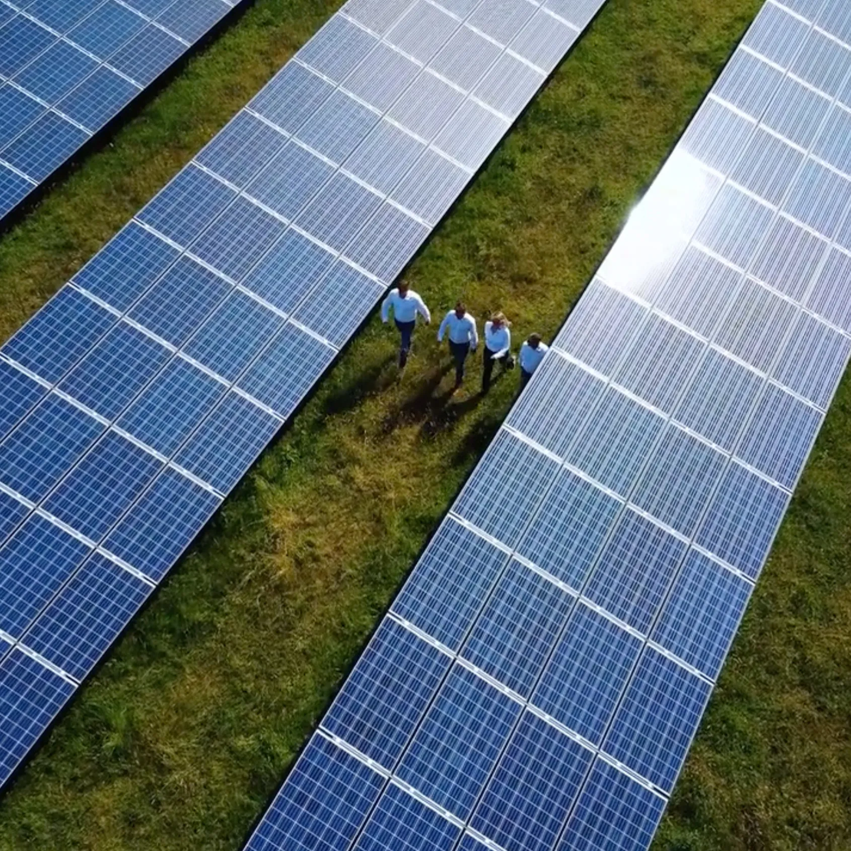 Vier ESG Mitarbeitende gehen zwischen breiten Solarmodulreihen auf einer grünen Wiese.