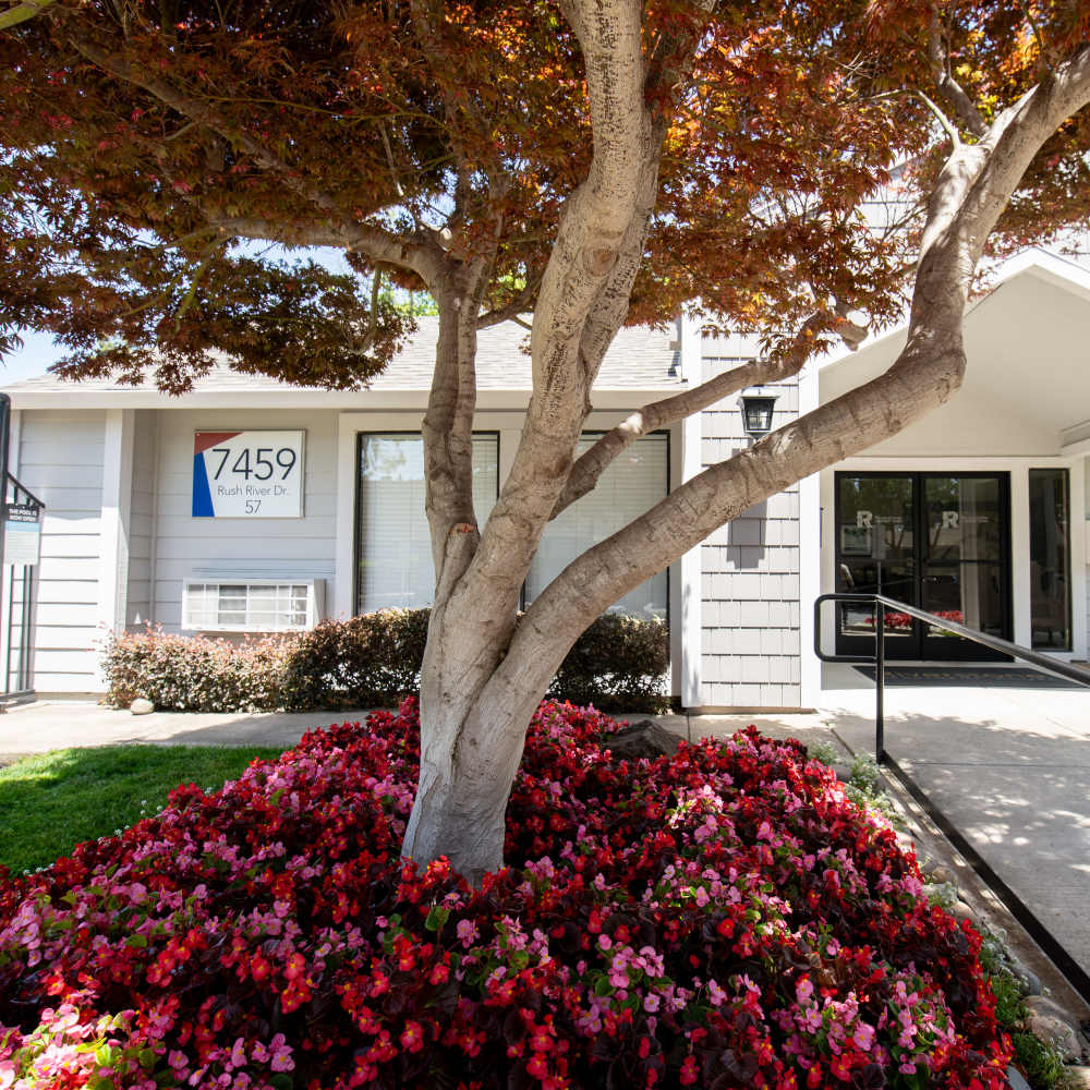Tree with flower bush near leasing office entrance