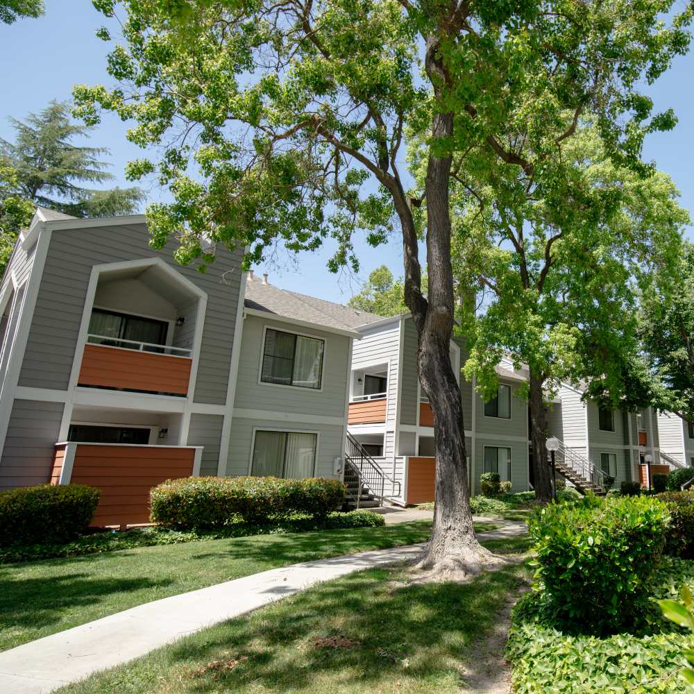 Exterior with trees and walking path