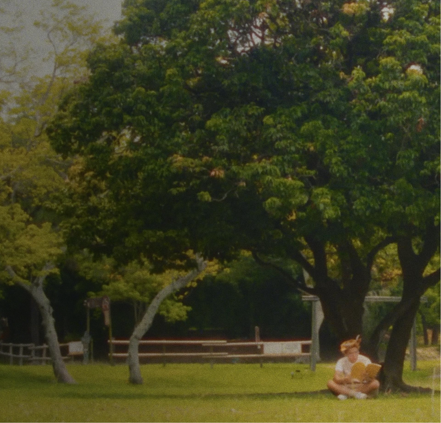 Narrative film background