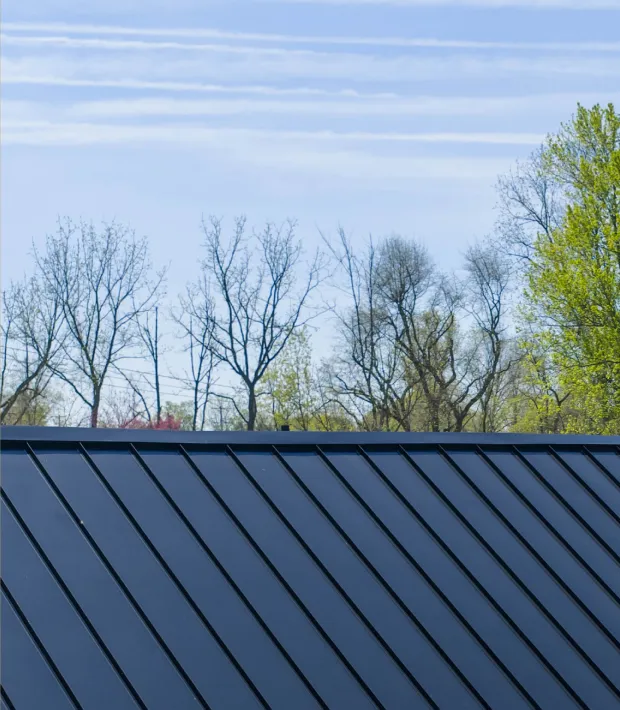 A black metal roof.