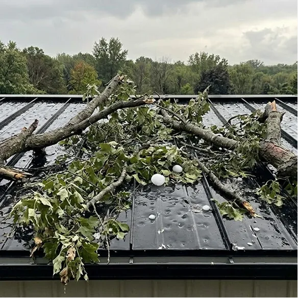 Large branches and hailstones rest on a wet metal roof after a storm, with trees and a cloudy sky in the background.