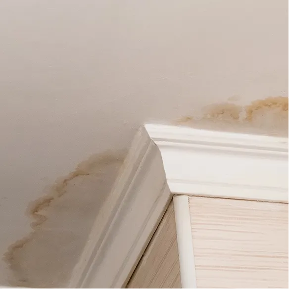 Water stains and discoloration are visible on a white ceiling near the corner, above a cabinet, indicating possible water damage or leakage.