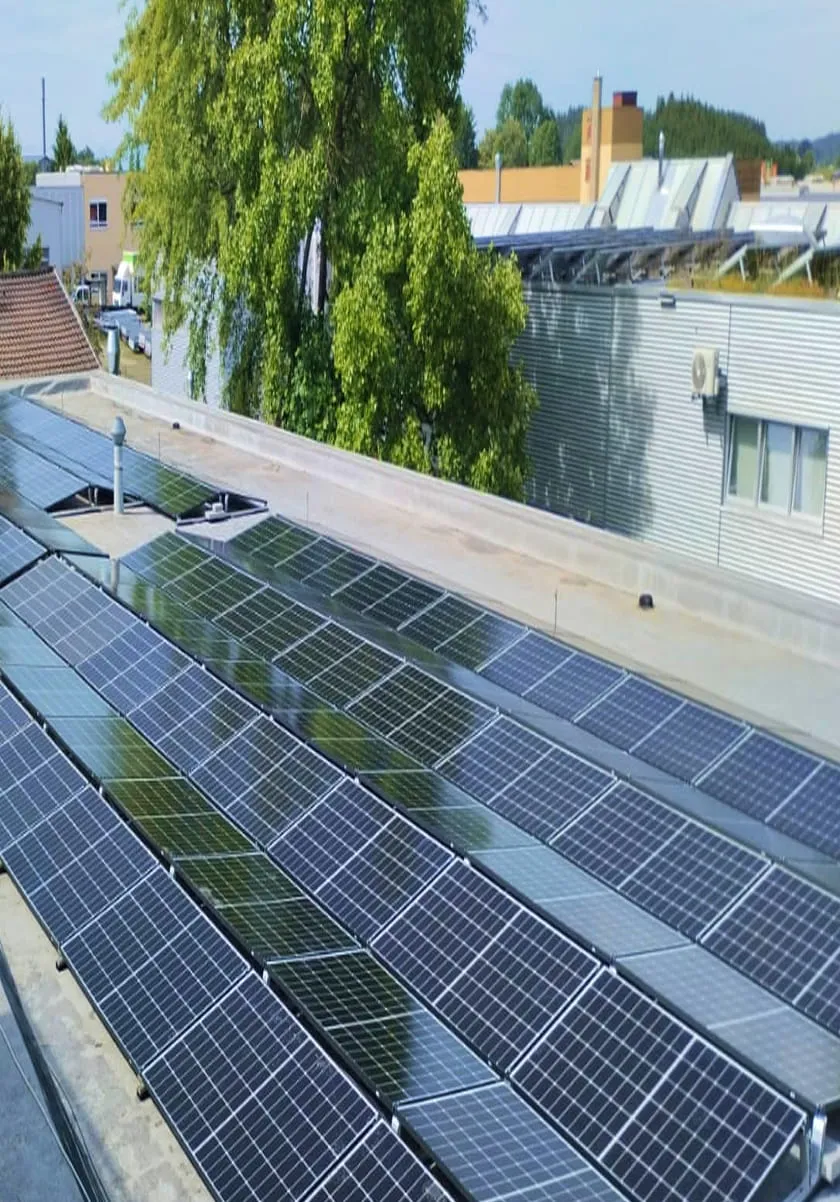 Reihen von Solarmodulen, die auf einem Flachdach neben Bäumen und Industriegebäuden installiert sind.