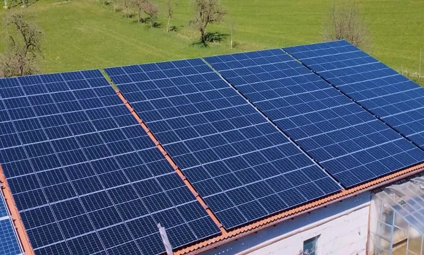 Reihen von Solarmodulen, die auf einem Dach installiert sind, im Hintergrund grünes Gras und Bäume.