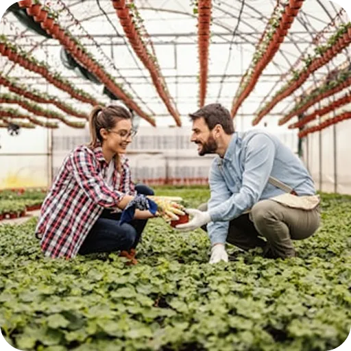 A man and a woman crouching in a greenhouse, smiling and examining a potted plant together.