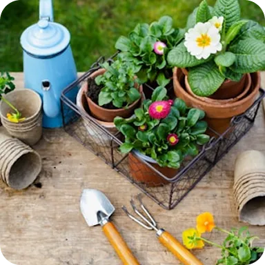 Small potted flowering plants in a wire basket with gardening tools and pots on a wooden surface.