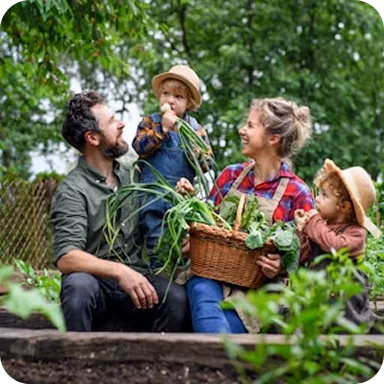 A family of four in a garden, with parents and two children holding fresh vegetables and smiling.