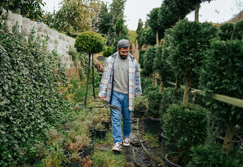 Man holding gardening shears and a plant pot, walking through a nursery with various potted plants and trees.