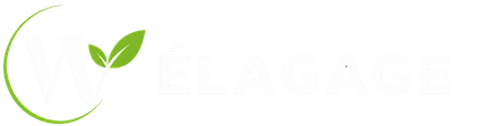 Orginal Logo