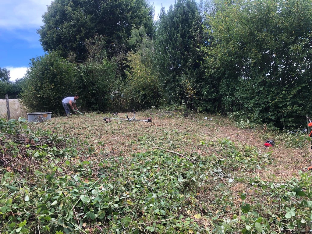 Avant : Élagage et abattage de végétation envahissante à Tinchebray-Bocage