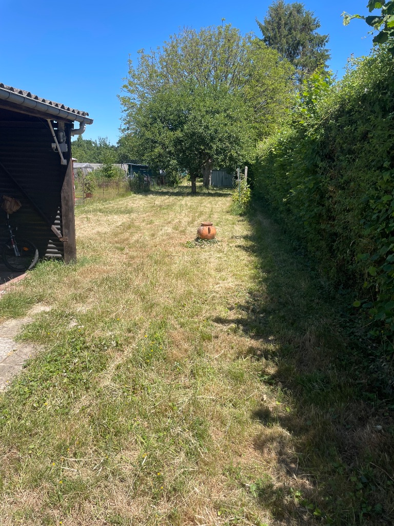 Taille de haie bocagère à Tinchebray-Bocage