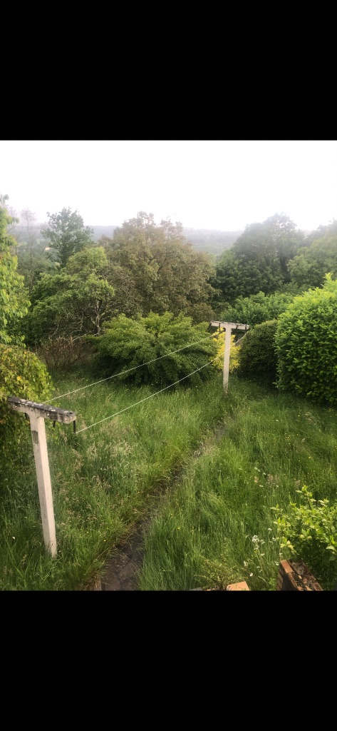 Entretien pelouse à Flers – Remise en état d'un jardin envahi