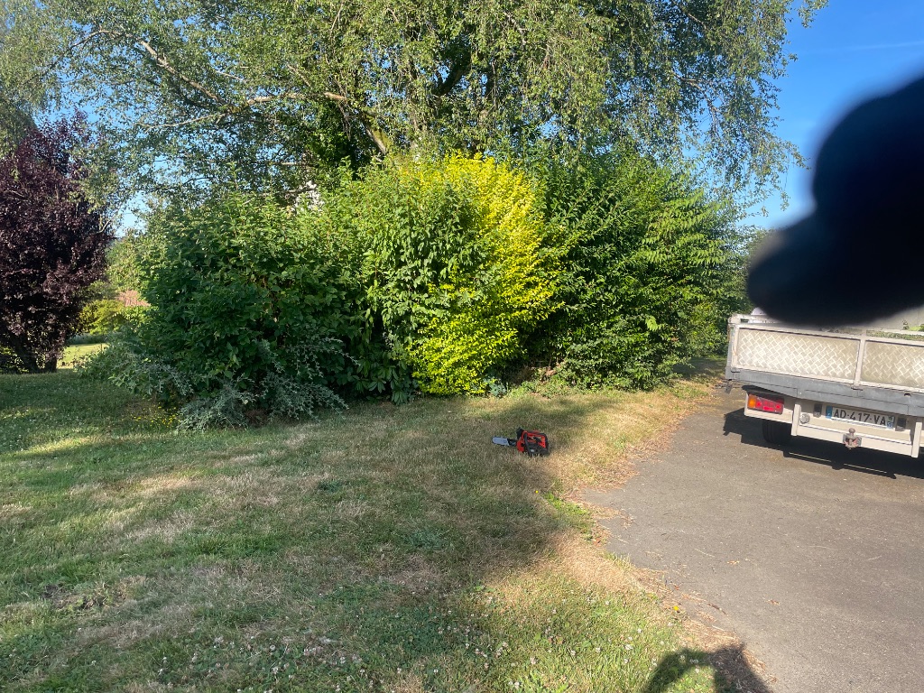 Élagage et abattage d'arbustes et arbres au Hom