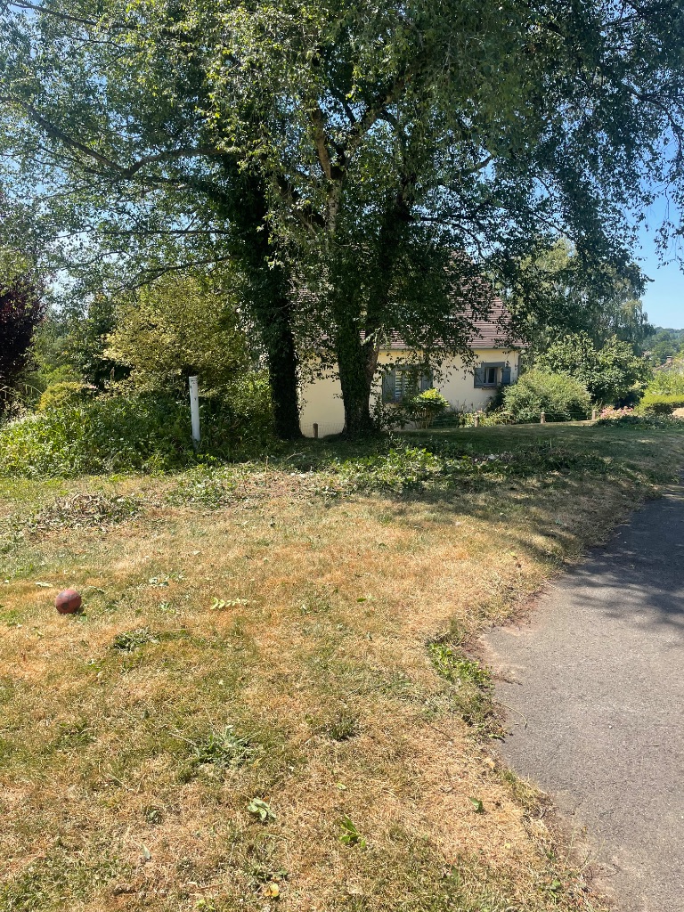 Avant : Élagage et abattage d'arbustes et arbres au Hom