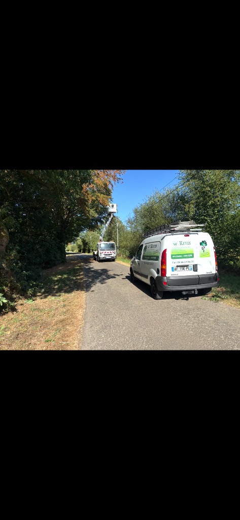 Avant : Élagage d'arbres en bordure de voie à Vire Normandie