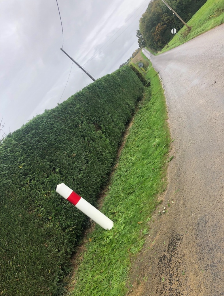 Taille de haie en bord de route à Tinchebray-Bocage