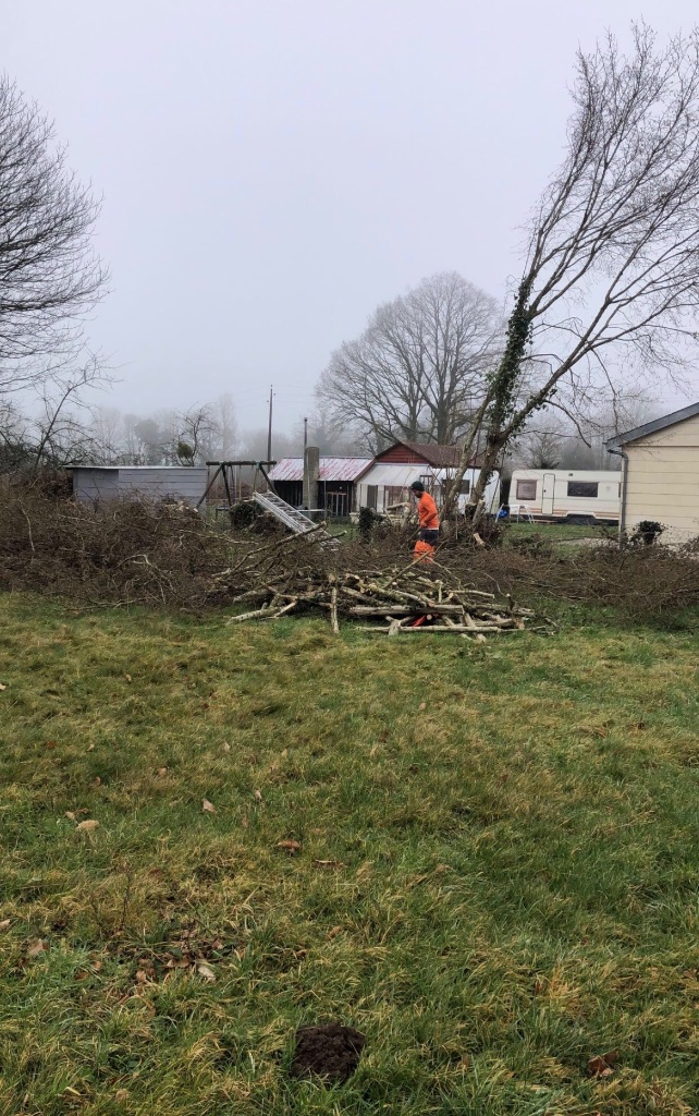 Avant : Élagage et abattage d'arbres à Bagnoles-de-l'Orne