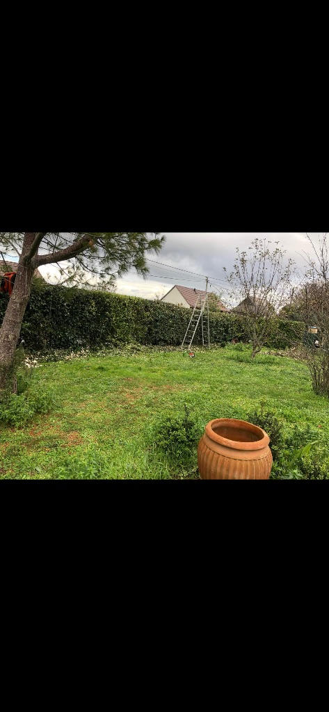 Taille de haie - Mayenne