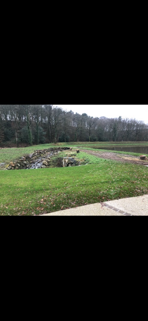 Élagage et abattage d'arbres en bord d'étang à Briouze