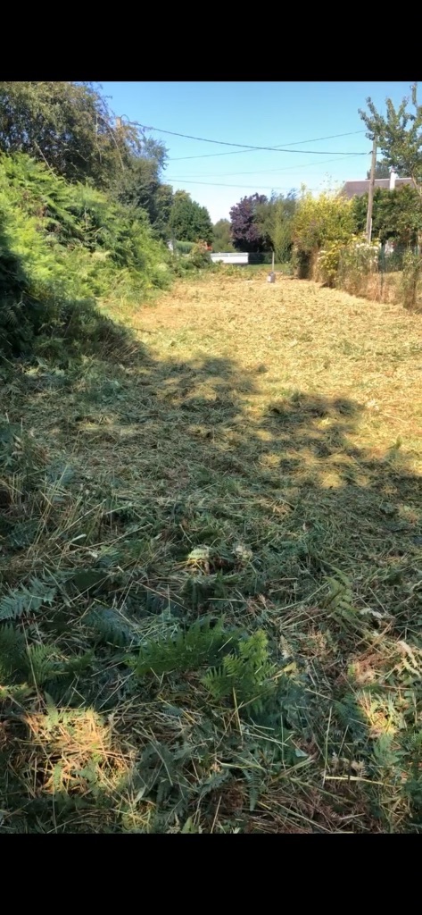 Débroussaillage et remise en état d'un terrain envahi – Flers