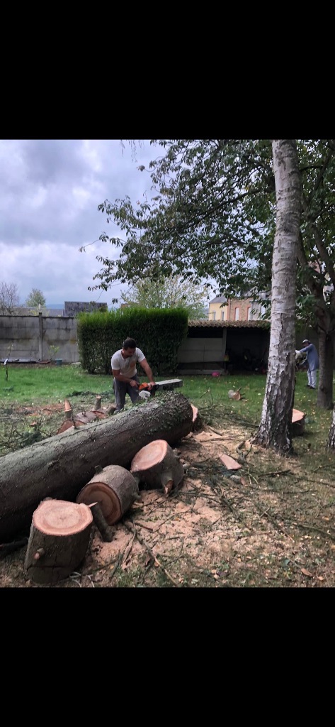 Abattage d'arbres à Bagnoles-de-l'Orne