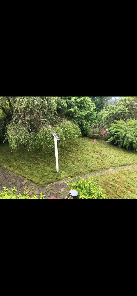 Entretien pelouse à Flers – Remise en état d'un jardin envahi