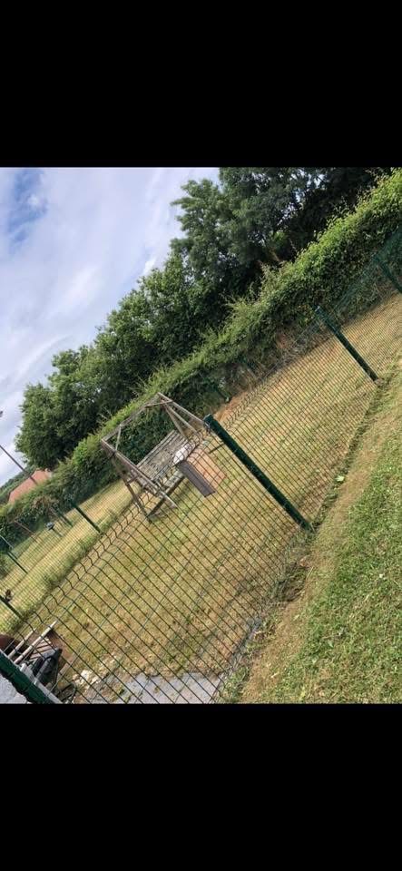 Entretien pelouse à La Ferté-Macé – Tonte d'un jardin laissé à l'abandon