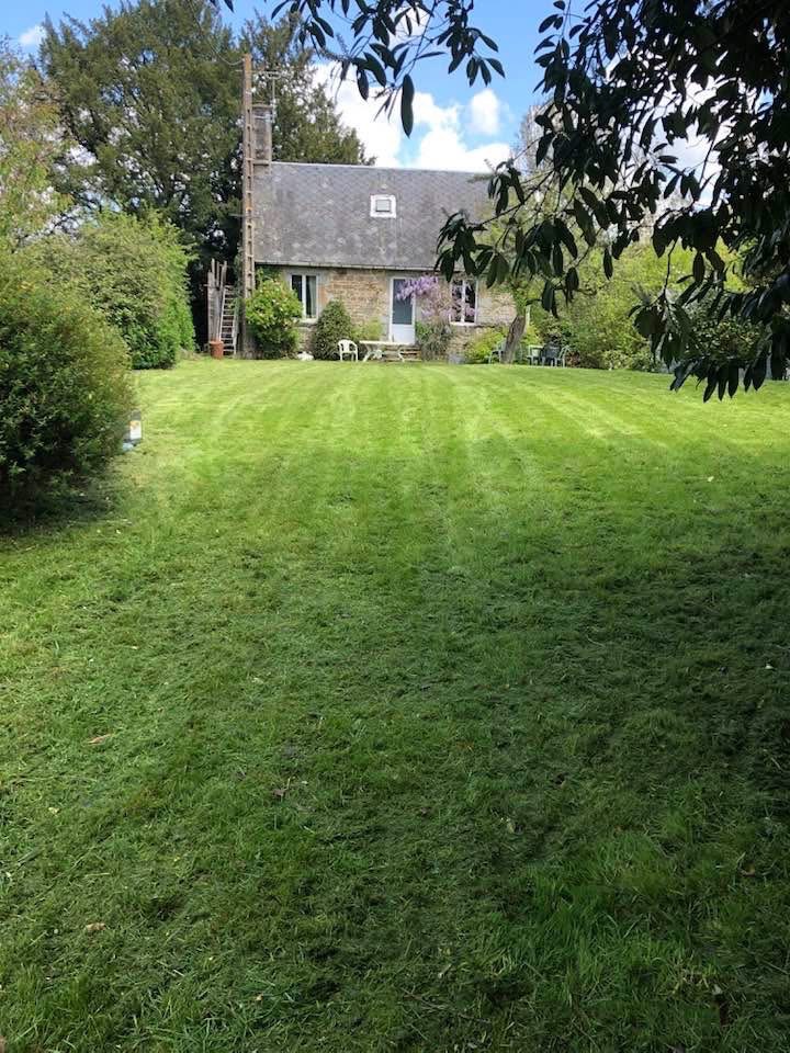 Entretien pelouse à Clécy – Remise en état d'un grand jardin envahi