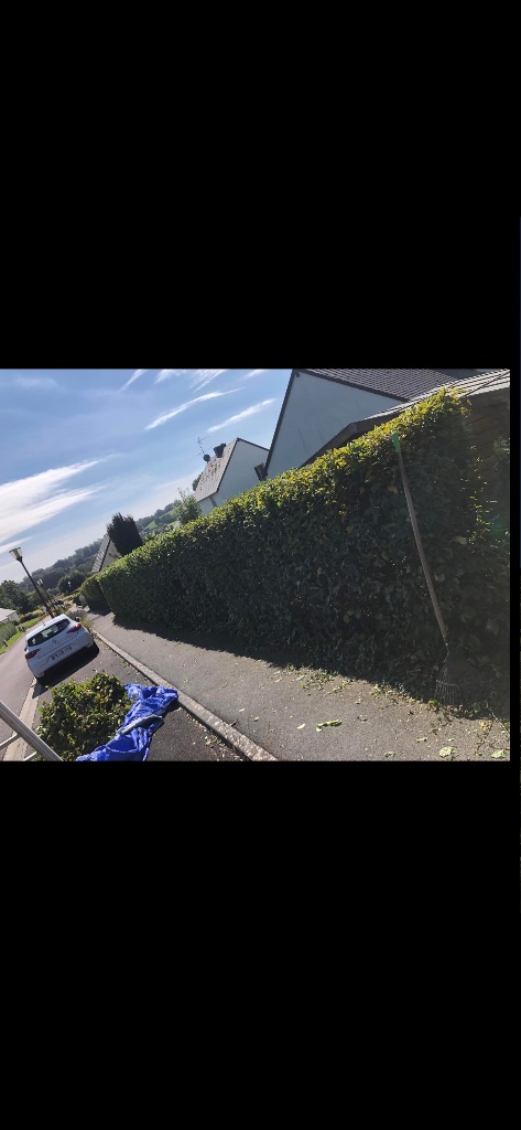 Taille de haie - Vire Normandie