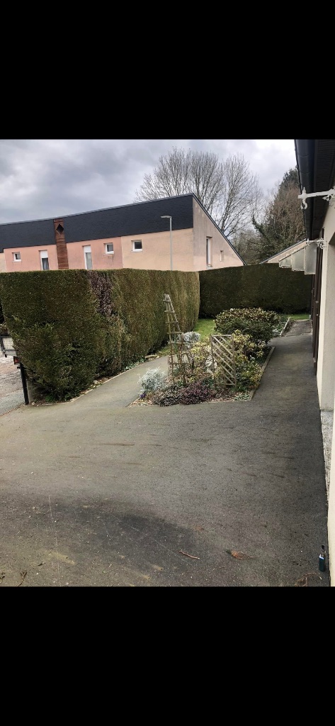 Taille de haie - Bagnoles-de-l'Orne