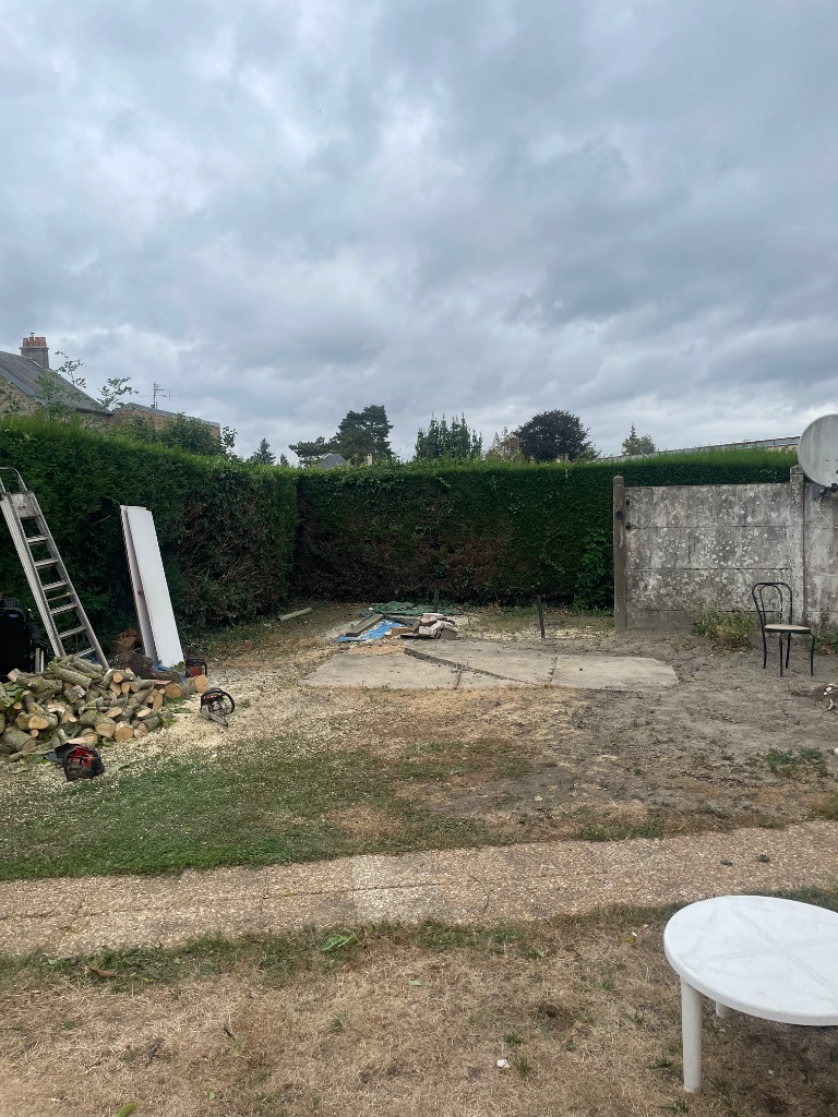 Élagage et abattage d'un noyer - Briouze