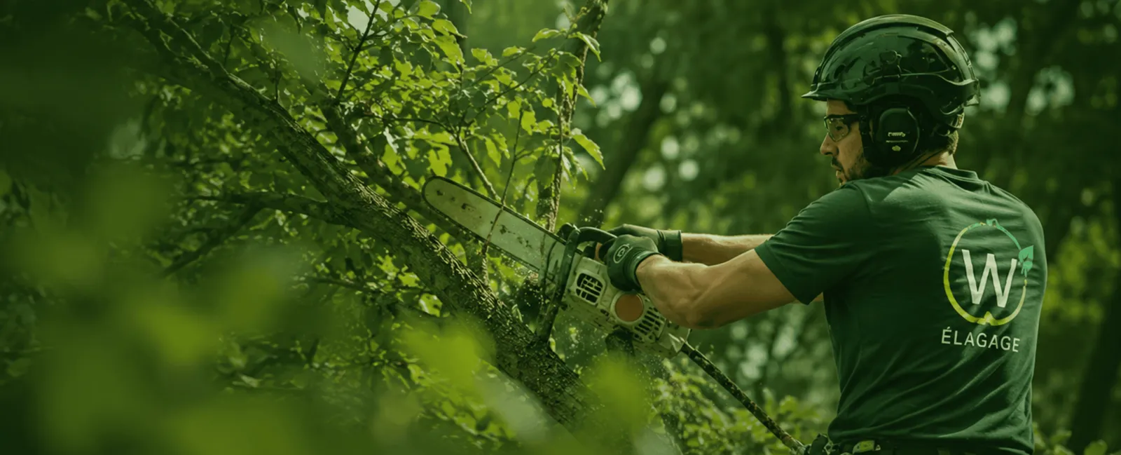 Élagage et abattage d'arbre par W Élagage
