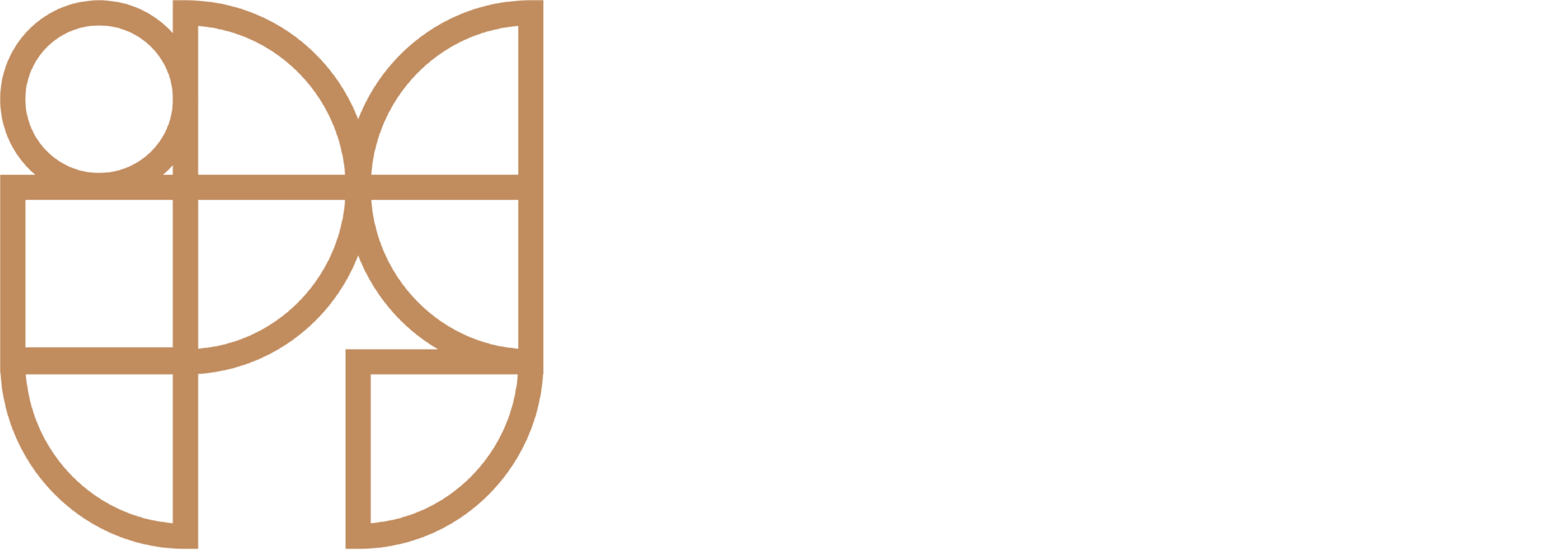 International Practice Group (IPG) logo