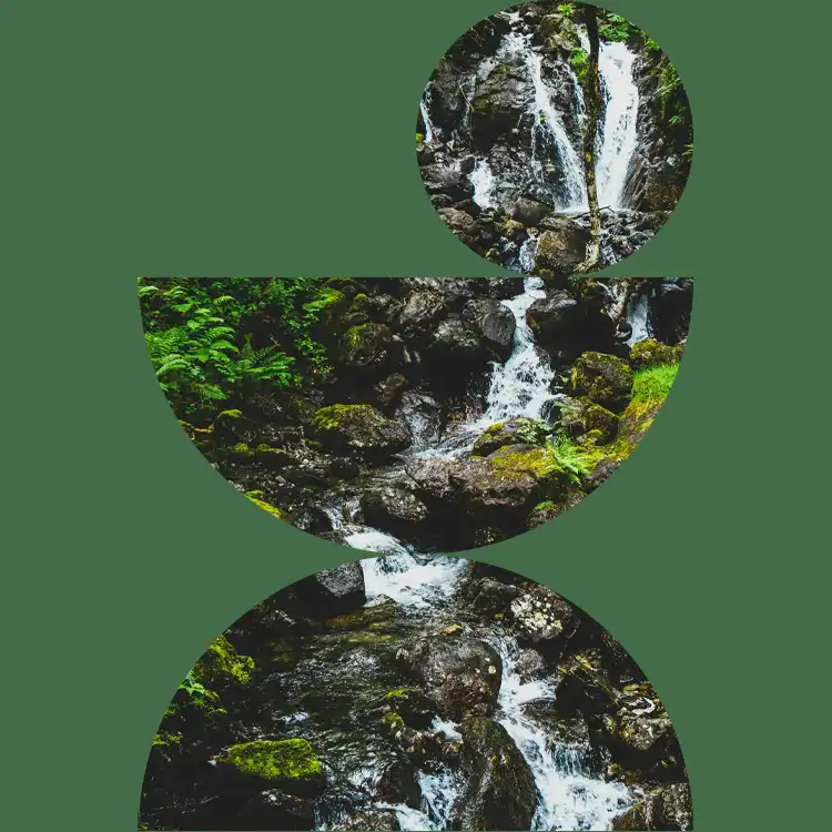 Mountain stream flowing over mossy rocks, representing IPG's commitment to sustainability