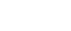 Brandish logo with stylized decorative design above the text.