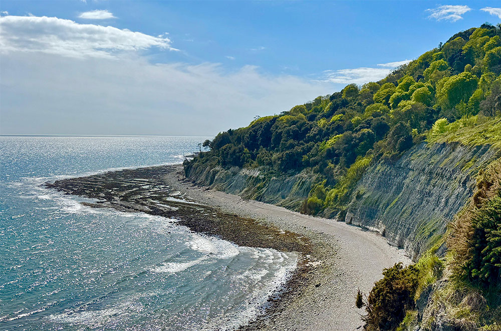 Towards Rousdon
