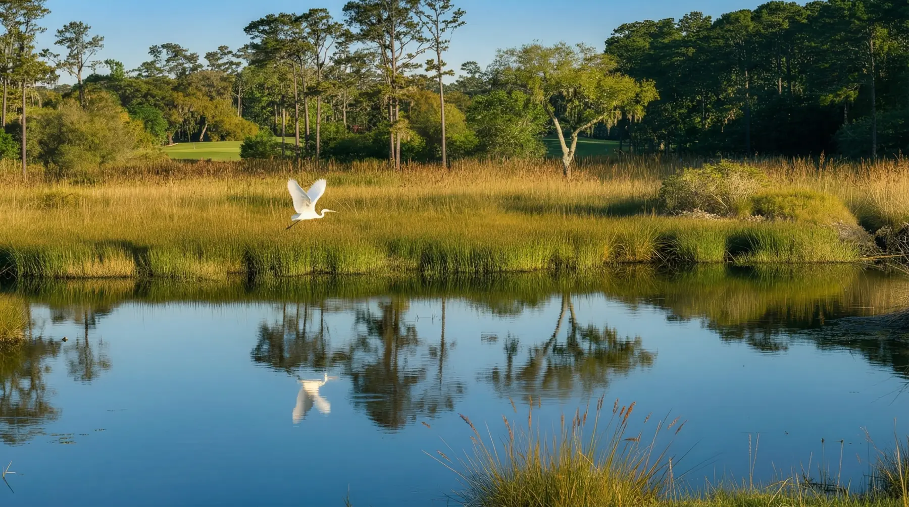 Northeast Florida marsh landscape