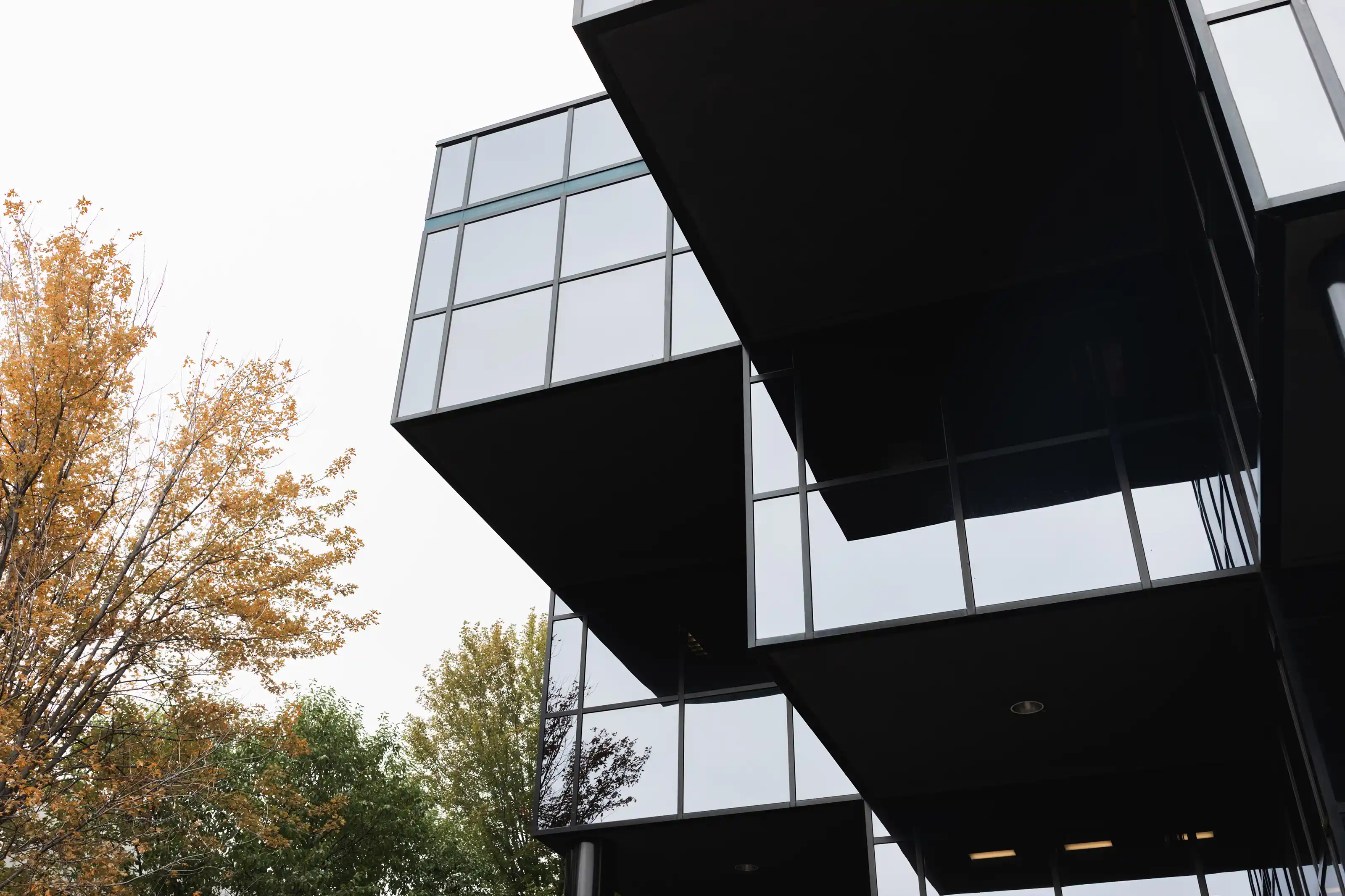 Modern building with black overhanging sections and large reflective glass windows next to trees with green and yellow autumn leaves.